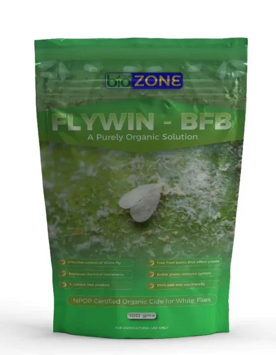 flywin bfb