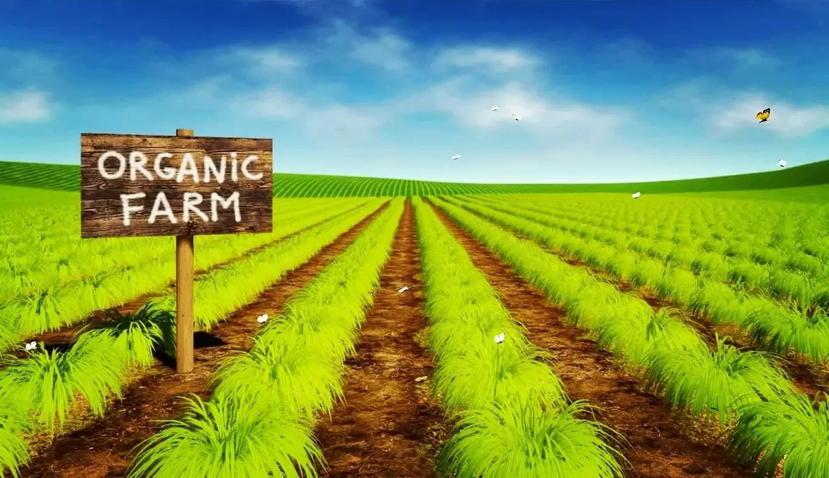 ORGANIC FARMING - Blueflame Energy Solutions | Biozone